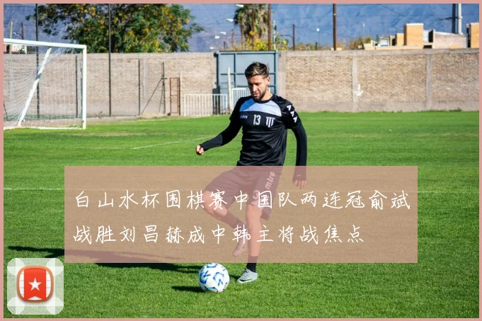 白山水杯围棋赛中国队两连冠俞斌战胜刘昌赫成中韩主将战焦点