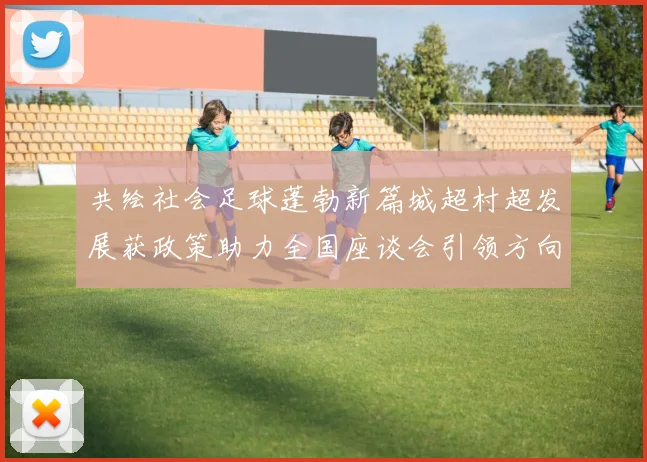 共绘社会足球蓬勃新篇城超村超发展获政策助力全国座谈会引领方向
