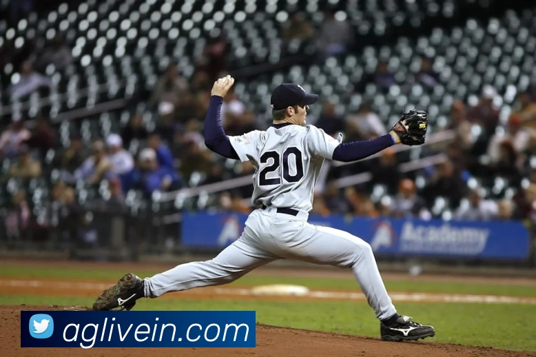 AG真人游戏平台APP 体育赛事宣传图