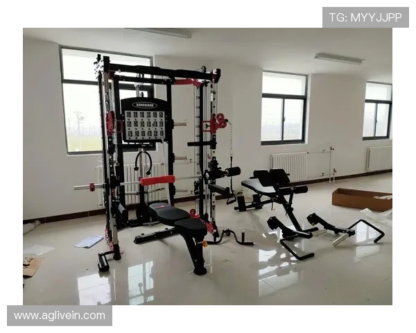 健身器材厂家与器械分类详解，如何选择高性价比产品